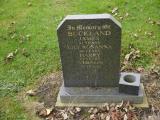 image of grave number 196306
